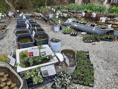 Gärtnerei Gartenreich Oberrieden