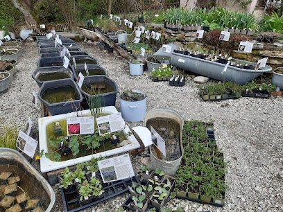 Gärtnerei Gartenreich Oberrieden