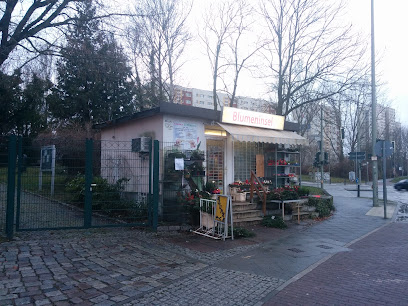 Blumen & Pflanzen