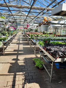 Blumen Wendler