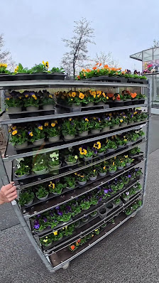 Blumen Wendler