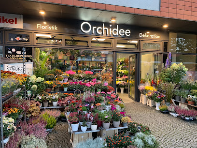 Orchidee Blumen & Pflanzen