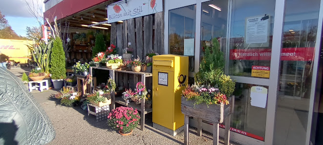 Blüten Mit Stil Wesselman Rosi
