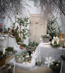 Gartencenter Katzwang - jeden 1. Samstag im Monat geöffnet 10 - 13 Uhr