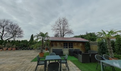 Thuja Welt Stadelmann