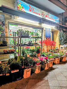 Blumen & Headshop - Flower shop