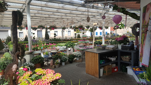 Blumenmarkt Daucher
