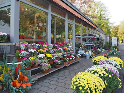 Blumen-Hannweg :: Ihr Blumenladen