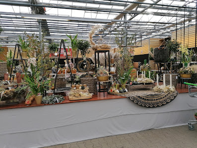Gartenwelt Dauchenbeck Fürth