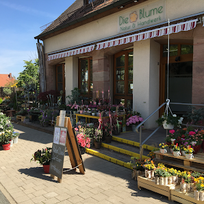 Die Blume - Natur & Handwerk