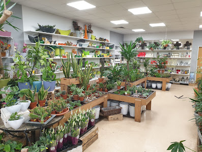 Blumen- und Gartencenter Koch, Dortmund-Scharnhorst