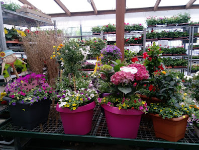 Blumen- und Gartencenter Koch, Dortmund-Scharnhorst
