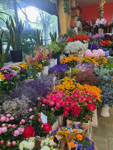 Blumenstudio am Hansaplatz