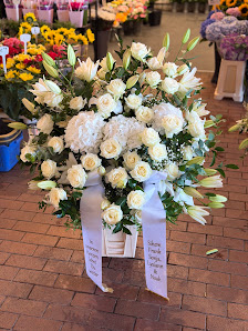 Blumen NgocLan