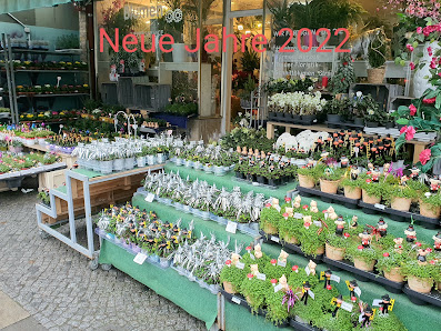 Blumen
