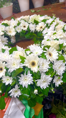 Quynh Blumen