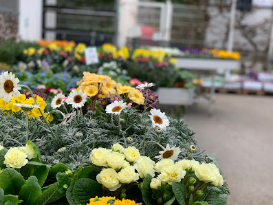 Blumen Dreier