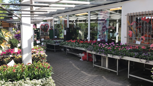 Blumen Dreier