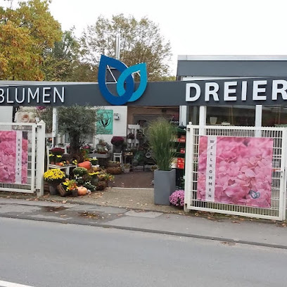 Blumen Dreier