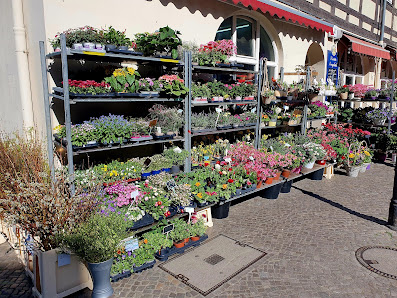 Blumenland