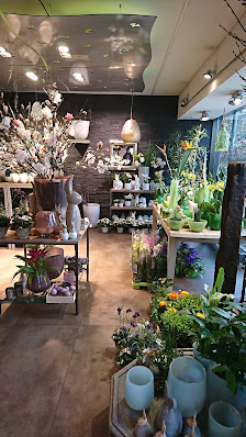 Blumen Koch