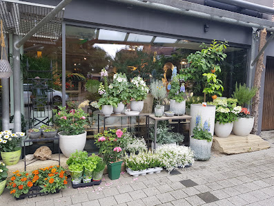 Blumen Koch