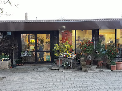 Gärtnerei Elsäßer