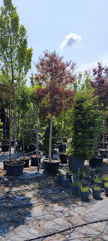 Peter Fischer Gartengestaltung / Floristik
