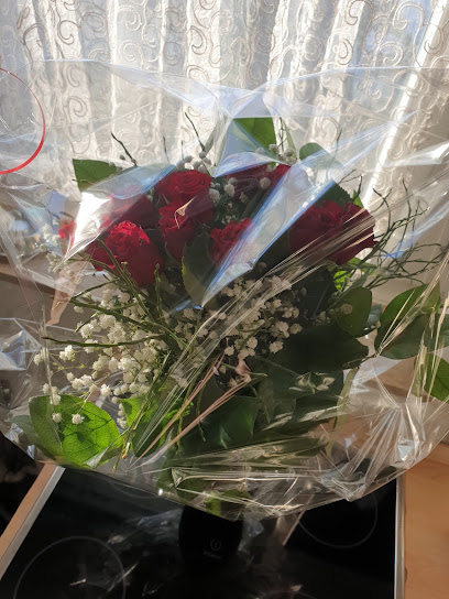 Gärtnerei Schmid / Schwarz