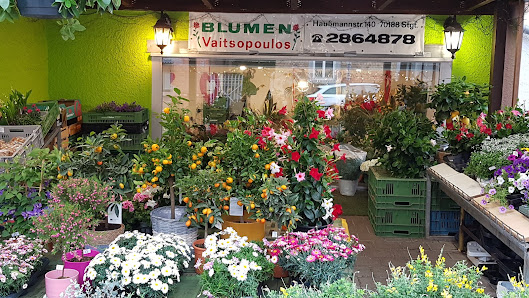 Blumen Vaitsopoulos