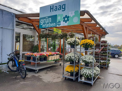 Pflanzen Center Haag