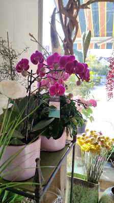 Blumenladen Sonnenblume