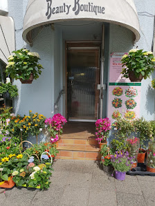 Blumen und Pflanzen