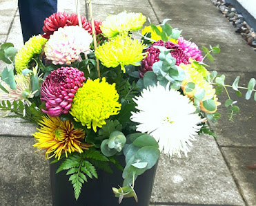 Hoffmeister Schnittblumen GbR