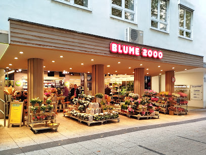 Blume 2000