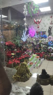 VAN ANH BLUMEN & PFLANZEN GESCHENKARTIKEL
