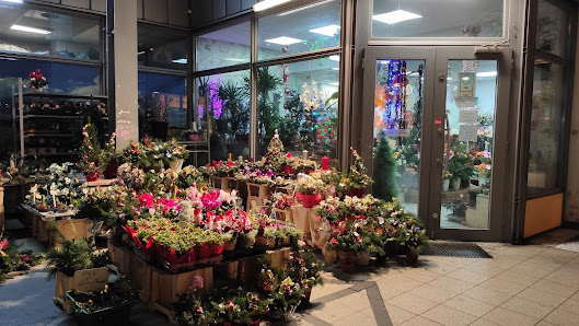 VAN ANH BLUMEN & PFLANZEN GESCHENKARTIKEL