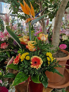 Blumen Style