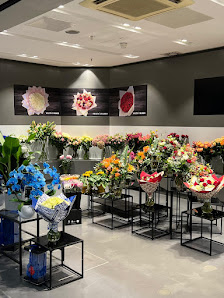 Violetas‘s Blumen