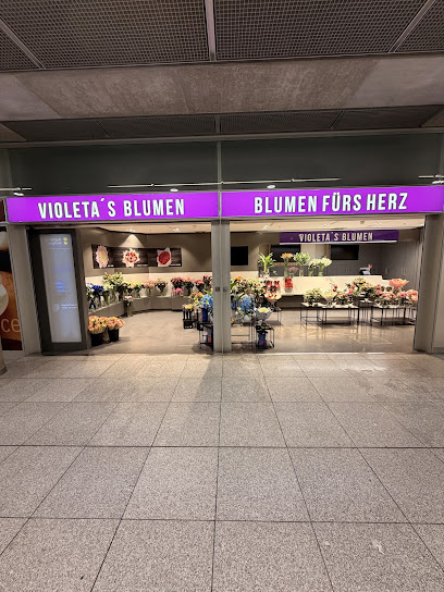 Violetas‘s Blumen
