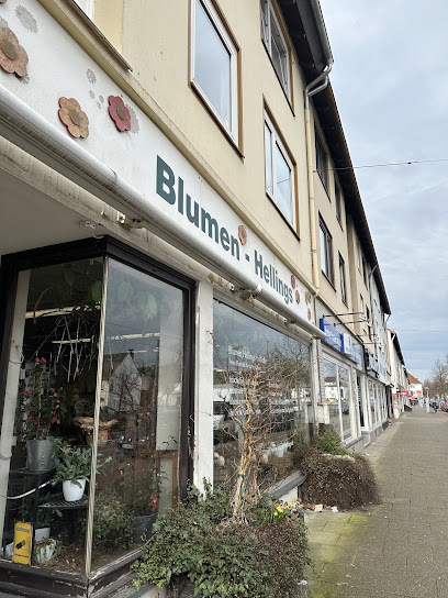Blumen Hellings