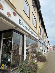Blumen Hellings
