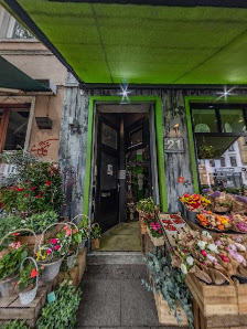 Der Blumenonkel - Bremen