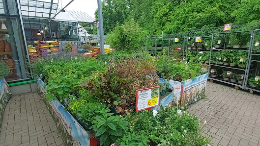 Blumen Peters am Weserpark