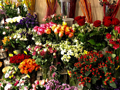 Blumenhaus Le Lan