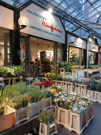 Holländischer Blumenkönig