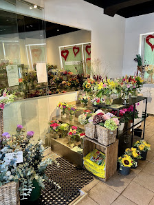 Blumen Timm