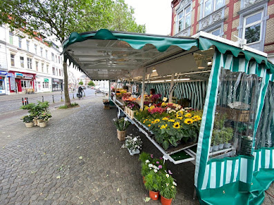 Blumen Timm