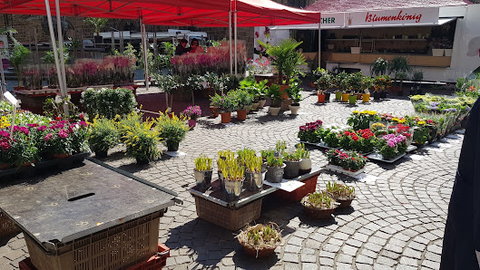 Blumenmarkt Unser-Lieben-Frauen-Kirchhof