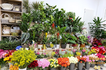 Blumen-Pflanzen Geschenkartikel 68